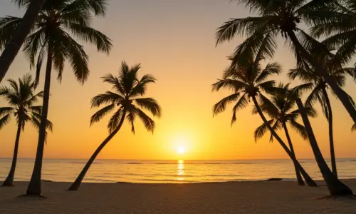 The Most Beautiful Beaches